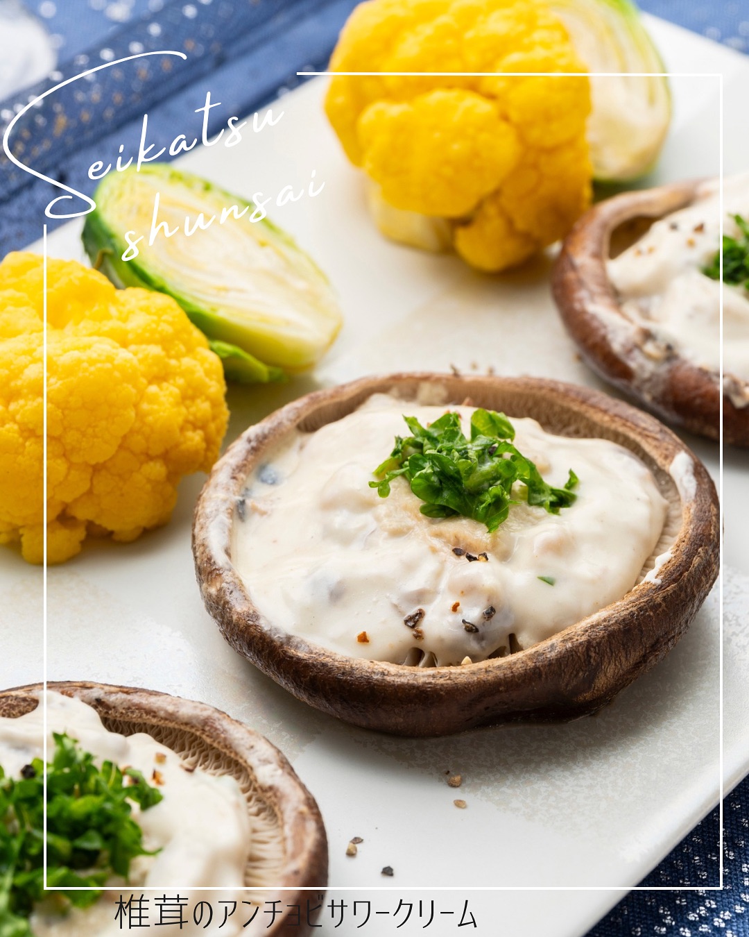 フロアガイド｜ゆめモール五日市｜イズミ・ゆめタウン公式サイト｜広島県広島市佐伯区