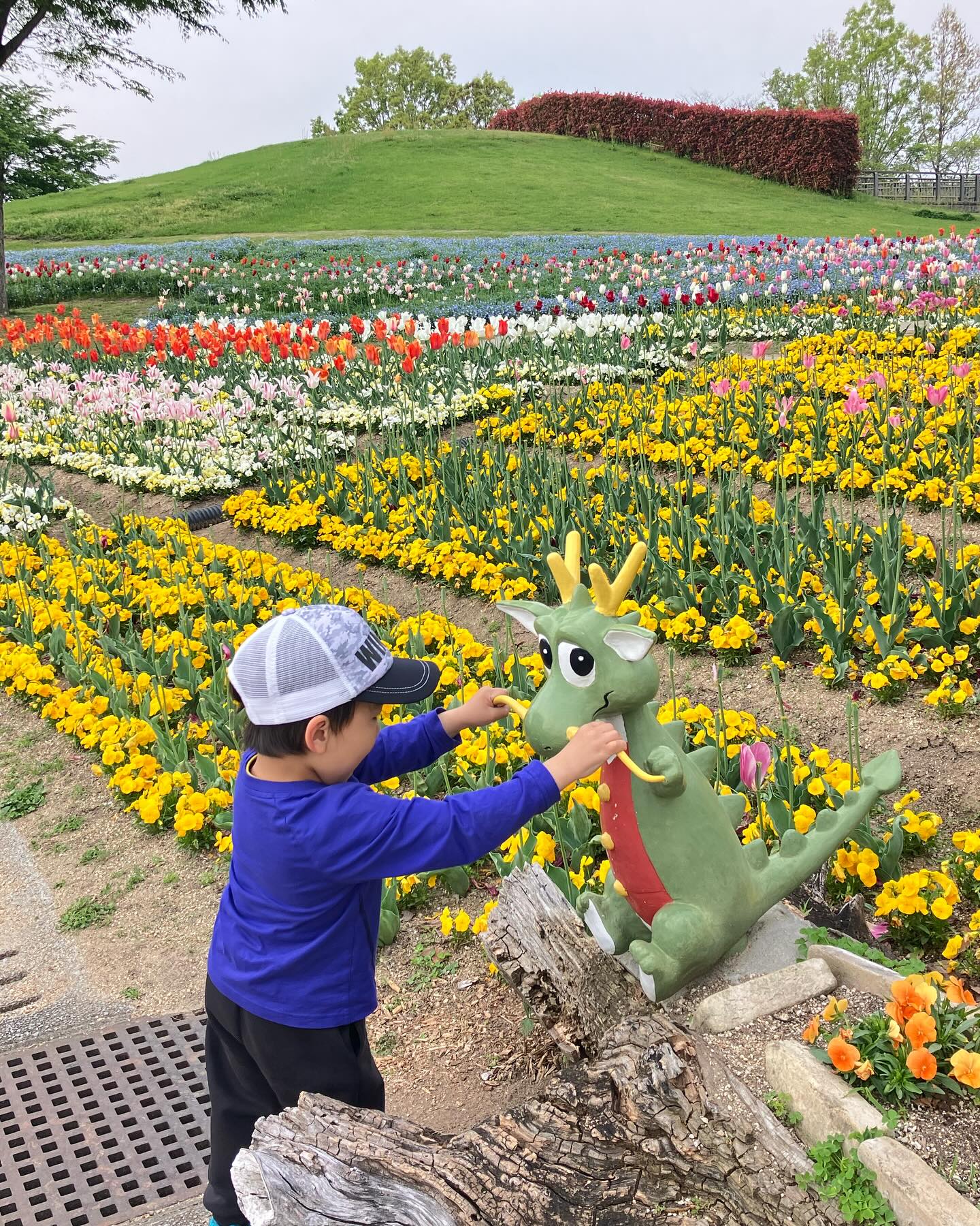 春満開の国営讃岐まんのう公園 2025.