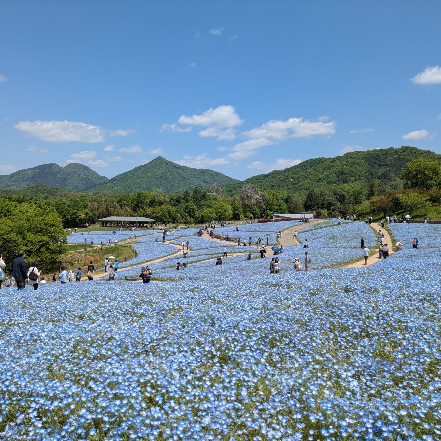 夫の実家帰省中、国営讃岐まんのう公園にて