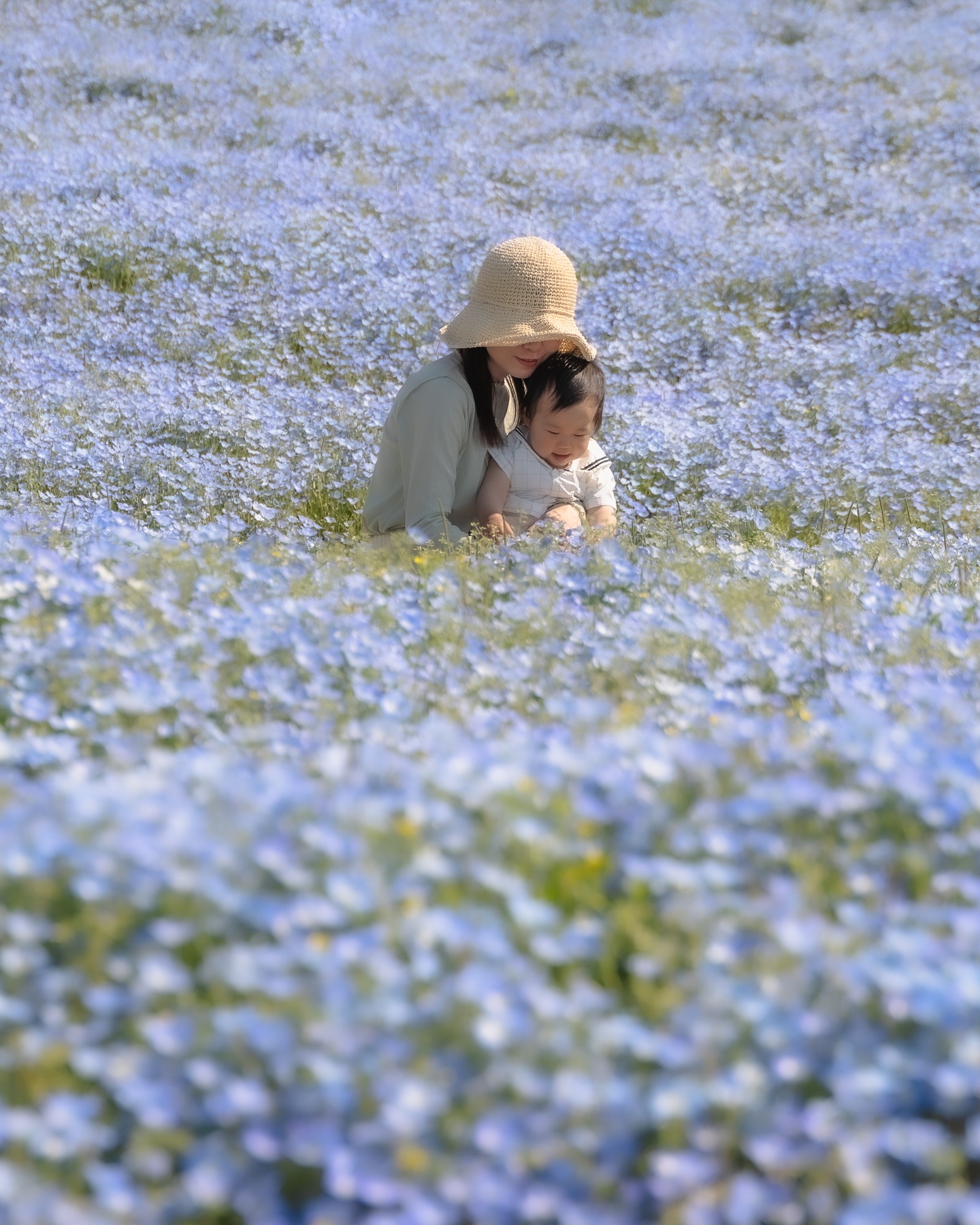 「ネモフィラネモフィラ」 公園内は沢山の