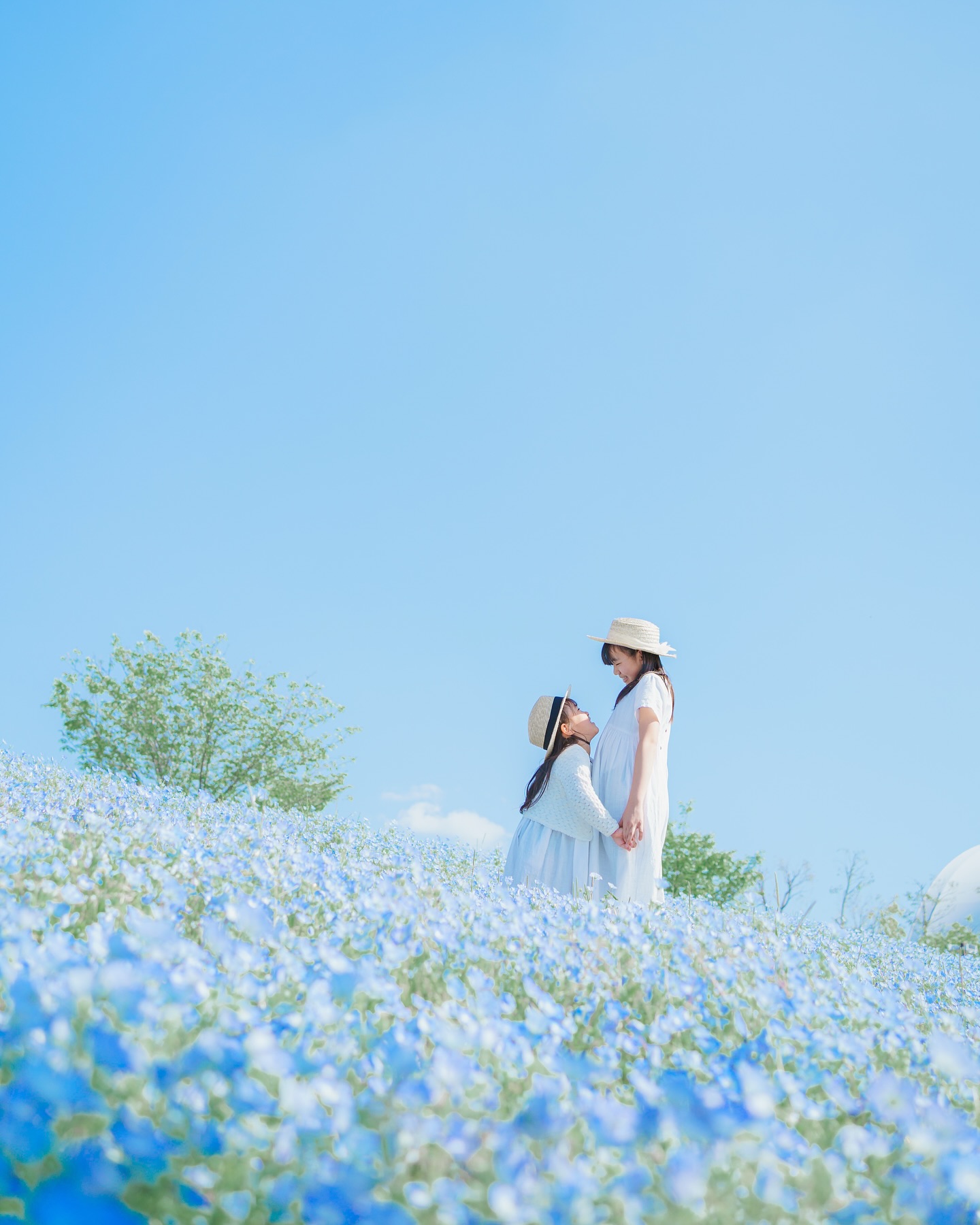 ・     青の洞窟ならぬ、青の世界??