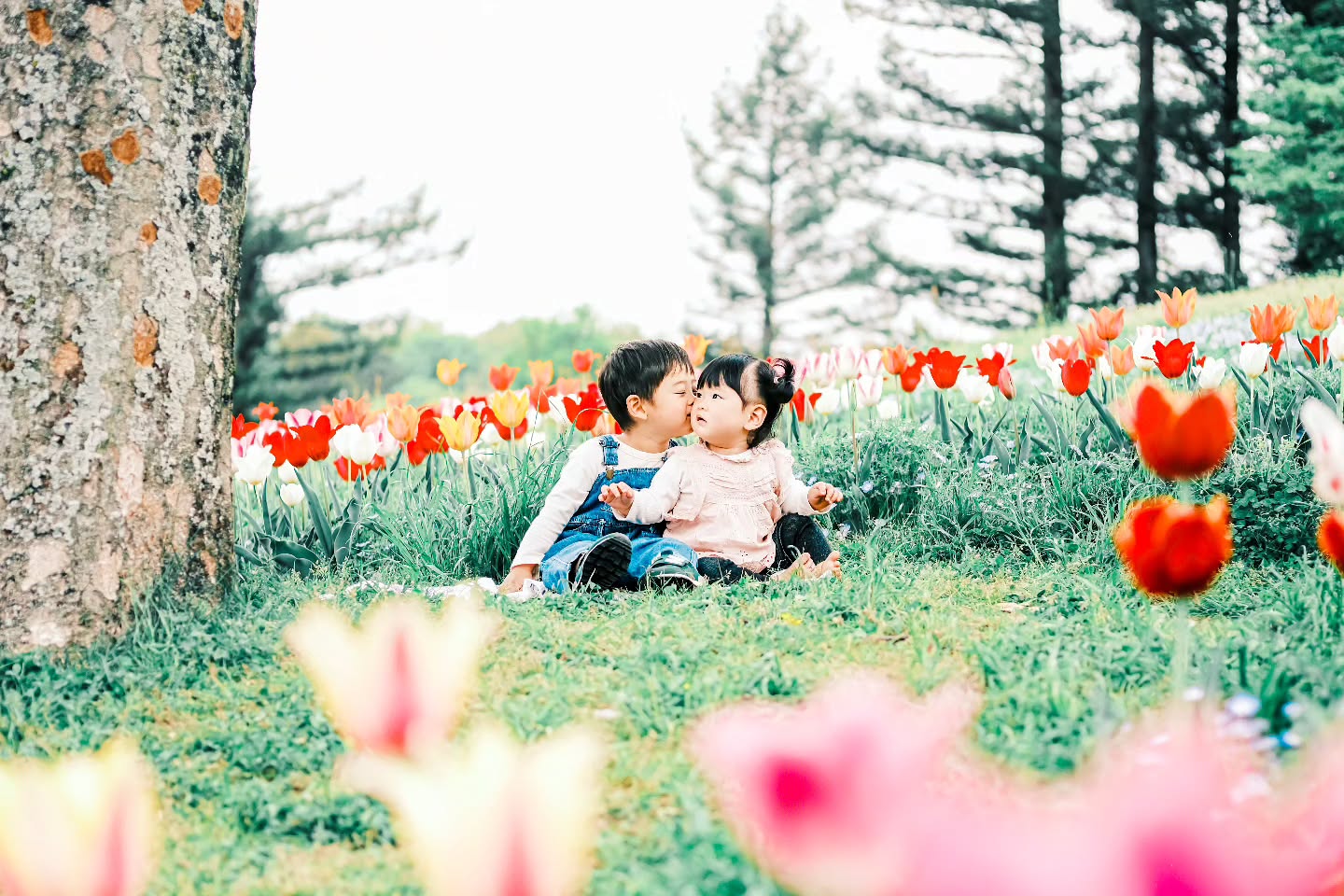 仲良し兄弟?♡?  camera︰FUJ