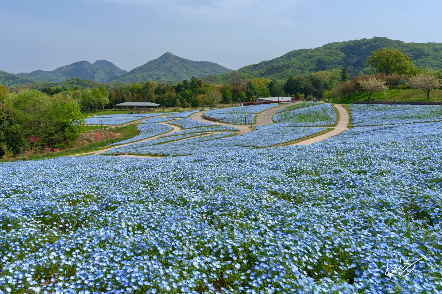 ?  2年ぶりに訪れたまんのう公園。 一