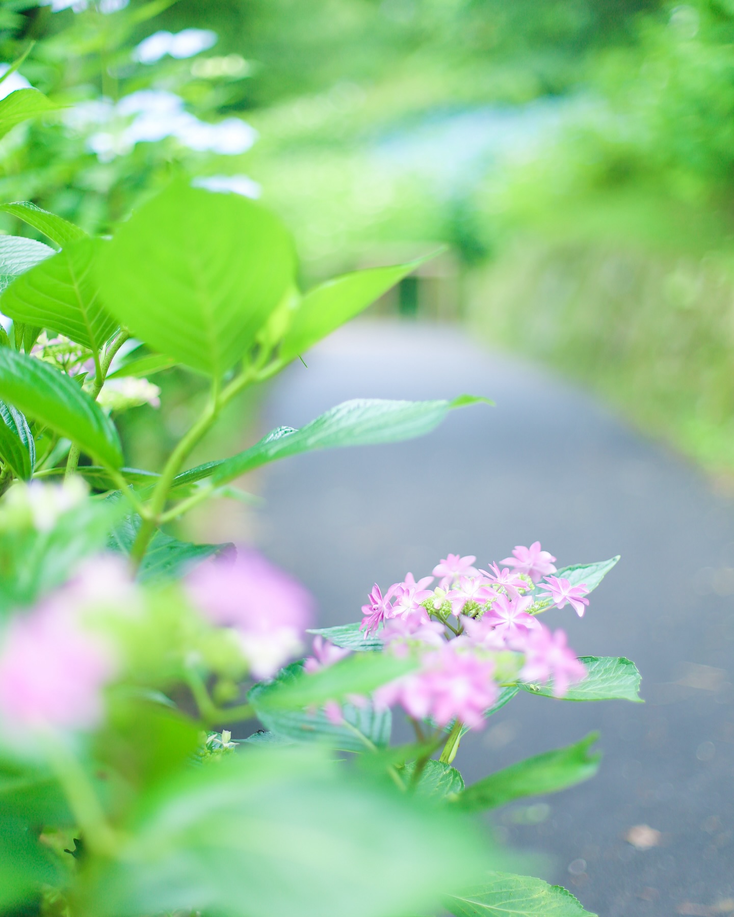 .  . 優しい色  .  美しい景色だ