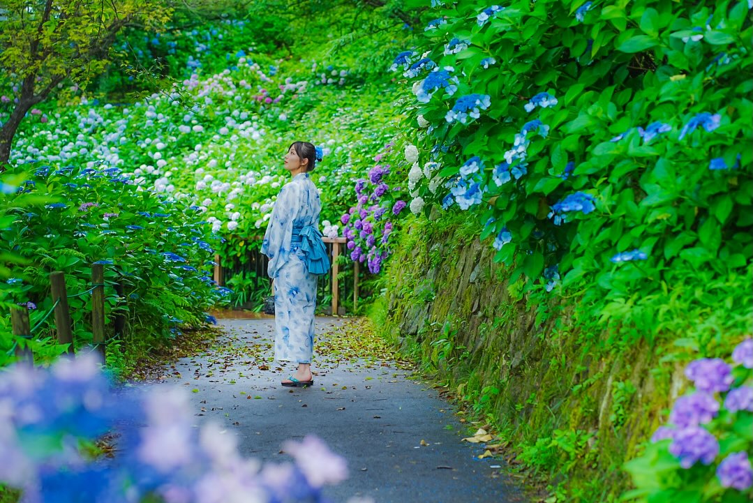 花笑フォト | 国営讃岐まんのう公園