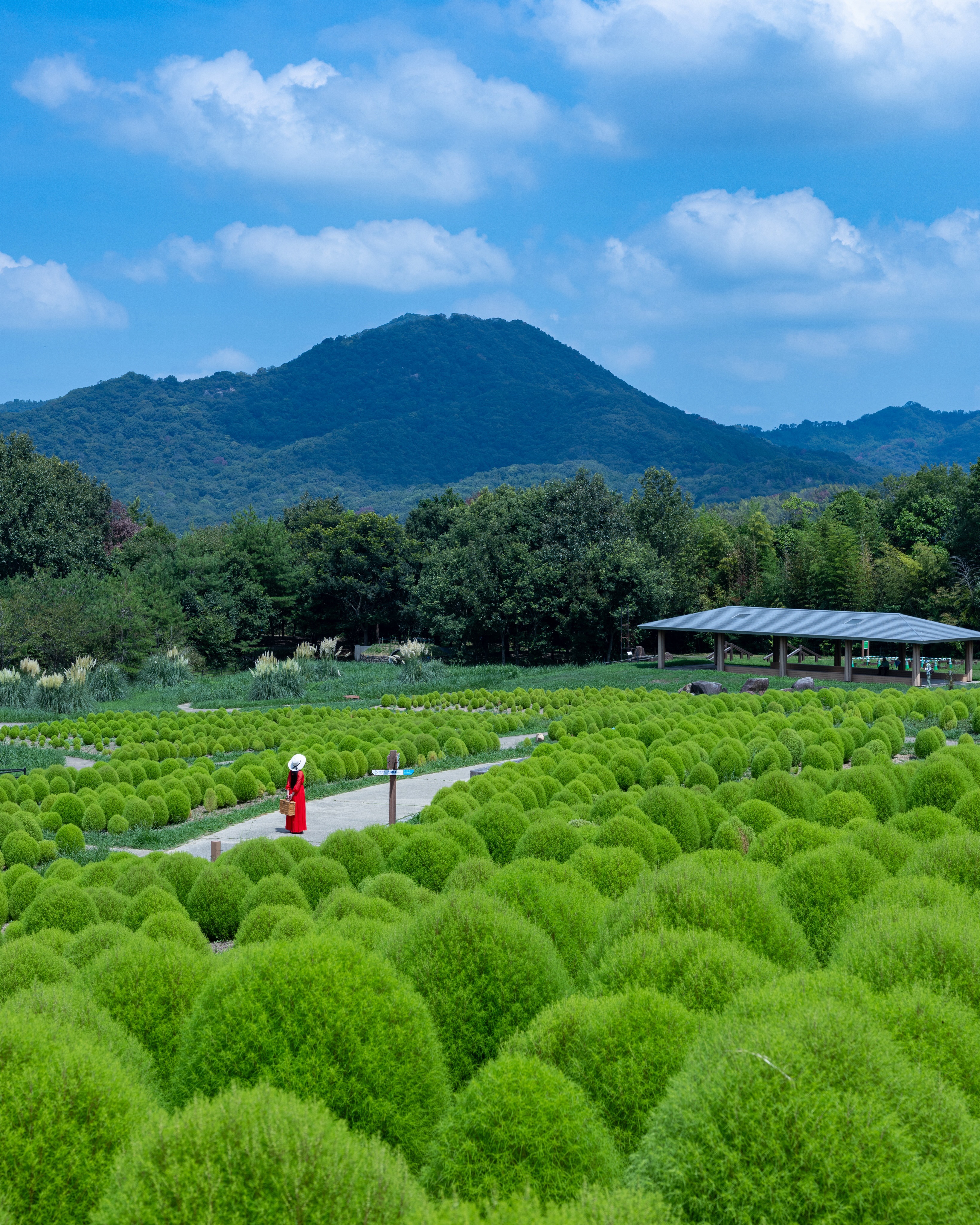花笑フォト | 国営讃岐まんのう公園