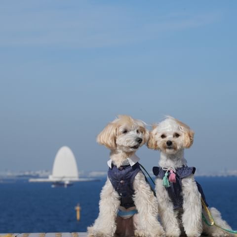 海ほたる～東京湾に浮かぶパーキングエリア