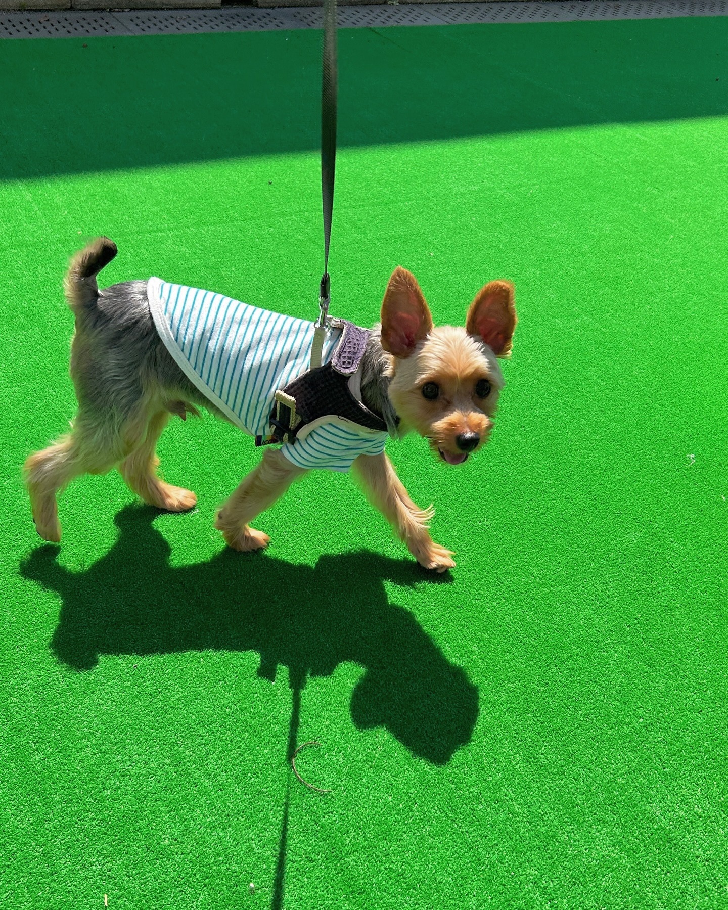 海ほたる～東京湾に浮かぶパーキングエリア